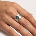 Anillo Acero