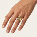 Anillo Acero Dorado