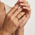 Anillo Acero Dorado