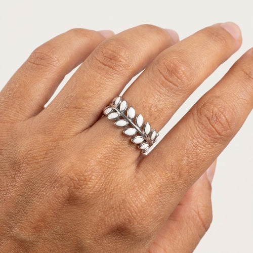 Anillo Acero
