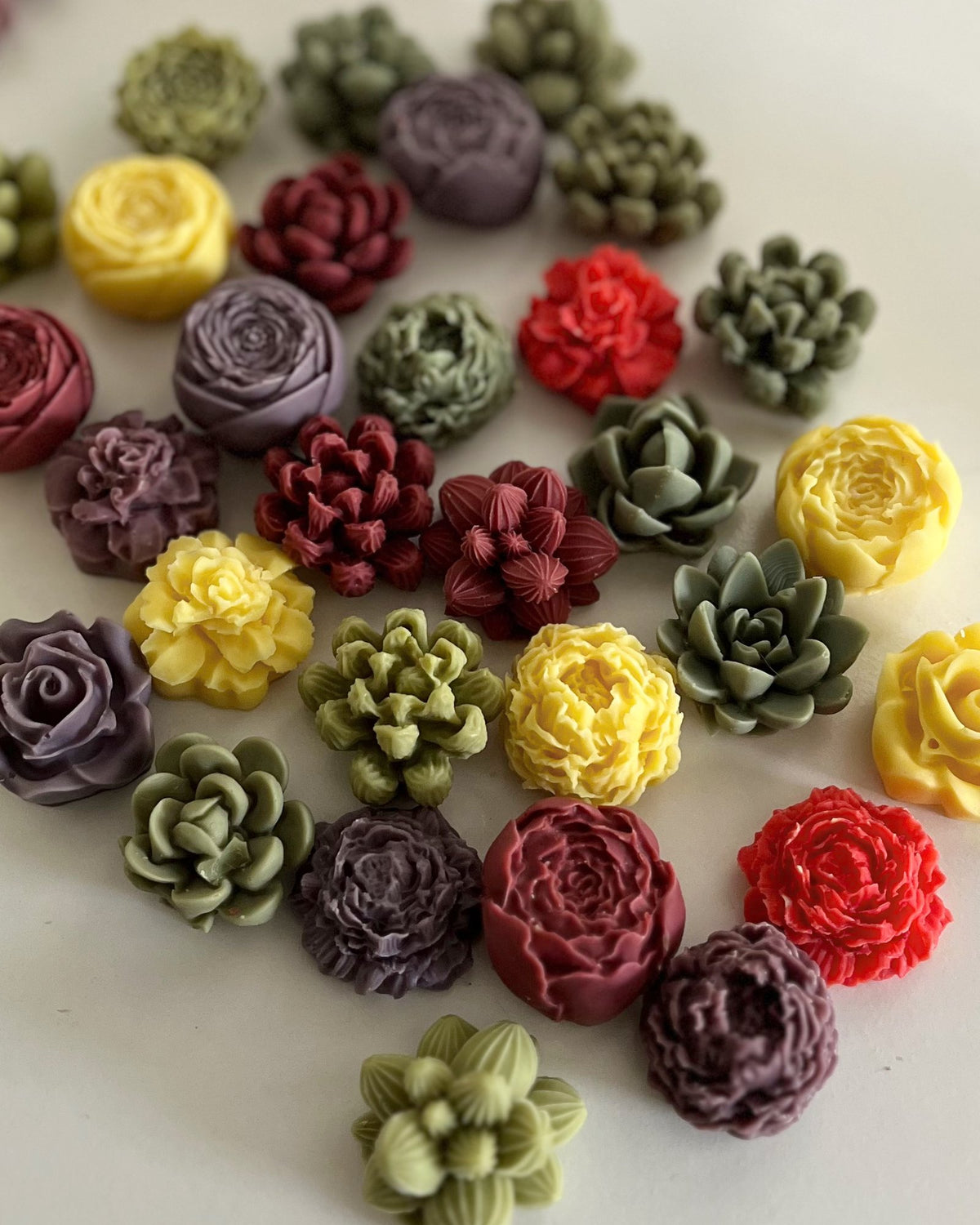 Box 7 Suculentas | Rosas