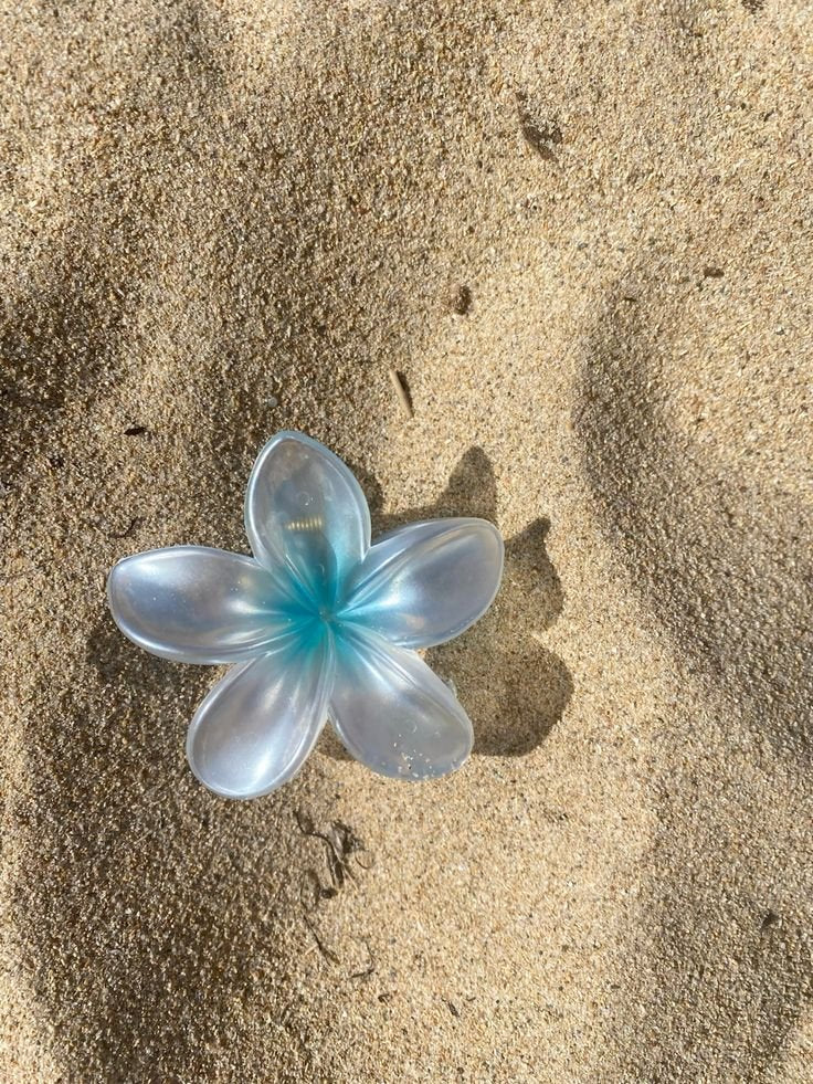 Pinzas Hawaianas