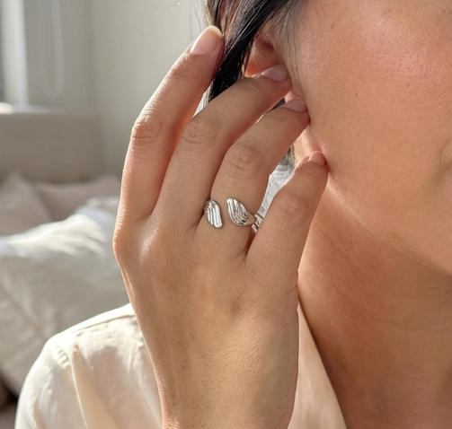 Anillo Acero
