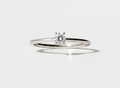 Anillo Simple